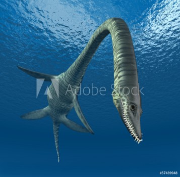 Bild på Plesiosaurier Elasmosaurus